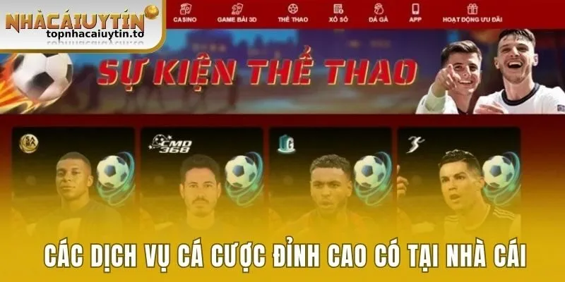 Các dịch vụ cá cược đỉnh cao có tại nhà cái