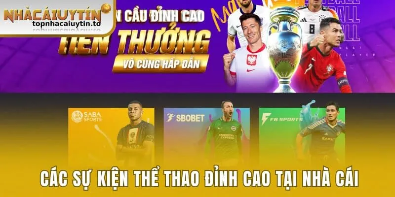 7ball - Sân Chơi Cá Cược Và Giải Trí Top 1 Châu Á 2025