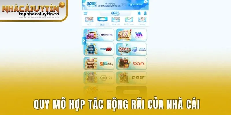 Quy mô hợp tác rộng rãi của nhà cái