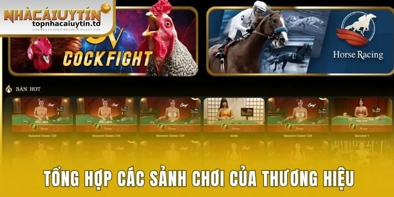 Tổng hợp các sảnh chơi của thương hiệu